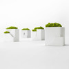 Metaphys Ienami - Micro Landscape Planters