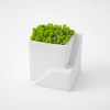 Metaphys Ienami - Micro Landscape Planters