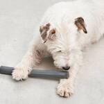 MiaCara Ramo - Minimalist Stick Dog Fetch Toy