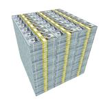 Million Dollar Pallet of Money Table