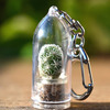 Mini Cactus Terrarium Keychains