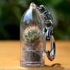 Mini Cactus Terrarium Keychains