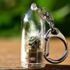 Mini Cactus Terrarium Keychains