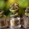 Mini Cactus Terrarium Keychains