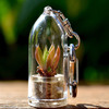 Mini Cactus Terrarium Keychains