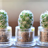 Mini Cactus Terrarium Keychains