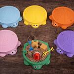 Mini Turtle Sandbox / Zen Garden