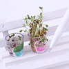 Miniature Garden Pens With Living Plants in the Caps