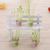 Miniature Garden Pens With Living Plants in the Caps