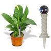 Fancy Plants - Miniature Gazing Ball Plant Ornament