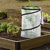 Miniature Pop-Up Tomato / Pepper Greenhouse
