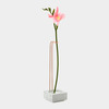 Minimalist Blossom Well Vase