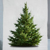 Minimalist Wall-Hanging Christmas Tree Tapestry