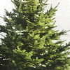 Minimalist Wall-Hanging Christmas Tree Tapestry