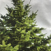 Minimalist Wall-Hanging Christmas Tree Tapestry