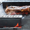 Moistly Grilled - Cast Iron Grill Humidifiers