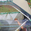 Monarch Butterfly Attracting Sanctuary