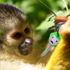 MonKeys Key Covers