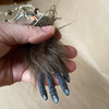 Monkey's Paw - Good For 3 Wishes!