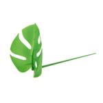 Monstera Leaf Food Picks