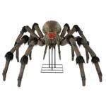Monstrous 8 Foot Spider