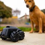 Moorebot Scout - Tiny AI-Powered Mobile Patrol Robot