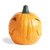 Morphing Halloween Pumpkin