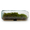 Moss Terrarium Bottle
