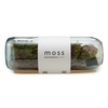 Moss Terrarium Bottle