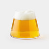 Mount Fuji Beer Glass