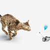 Mousr - App-Controlled Robotic Interactive Cat Toy