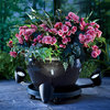 Moveable Plant Caddy With Solar Lights