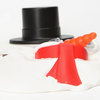 Mr. Frost - Melting Snowman Kit