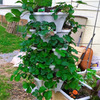 Mr. Stacky - Vertical 5-Tier Strawberry / Herb / Flower Planter