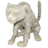 Mummy Cat