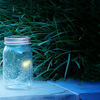 My Pet Firefly