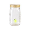 My Pet Firefly