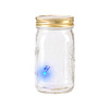 My Pet Firefly