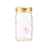 My Pet Firefly