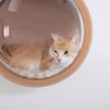 MYZOO Spaceship Gamma - Wall-Mounted Cat Perch