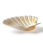 Natural Baking Seashells - Bake and Serve Right in the Shell