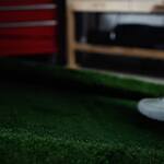 Natural Light TreadMower - Part Treadmill, Part Lawnmower