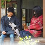 Nenneko Hanten - Japanese Cat Cuddle Coat