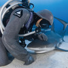 Neptunic Sharksuit - Sharkproof Chainmail Dive Suit