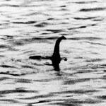 Nessie the Loch Ness Soup Ladle Monster