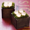 Nested Votive Candle Box