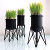 New York City Water Tower Wheatgrass Planters