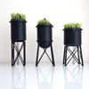 New York City Water Tower Wheatgrass Planters