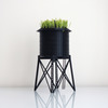 New York City Water Tower Wheatgrass Planters