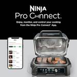 Ninja Woodfire Pro XL - Outdoor Grill, BBQ Smoker, Air Fryer, and More